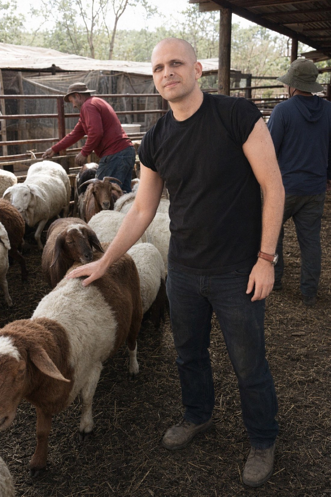 Man petting sheep at a farm pen